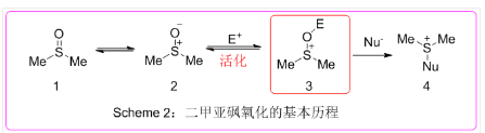 二甲亚砜氧化的基本历程.png