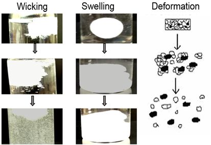 交联聚维酮的毛细管吸水过程.jpg