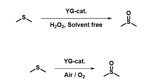 催化反应.png
