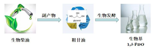 1,3丙二醇微生物发酵法.png