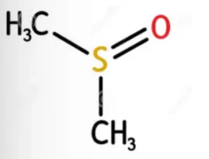 实验室的万金油-DMSO